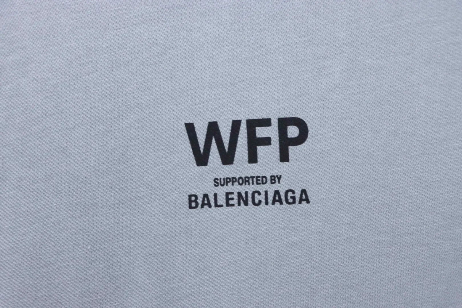 Logo WFP