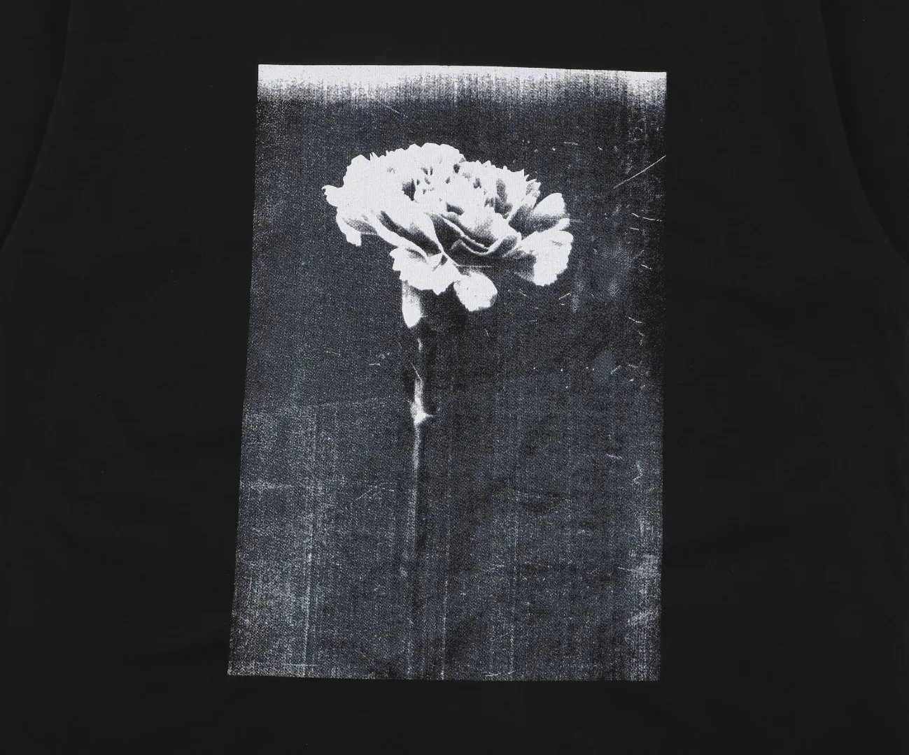 Faded Carnation Print Logo