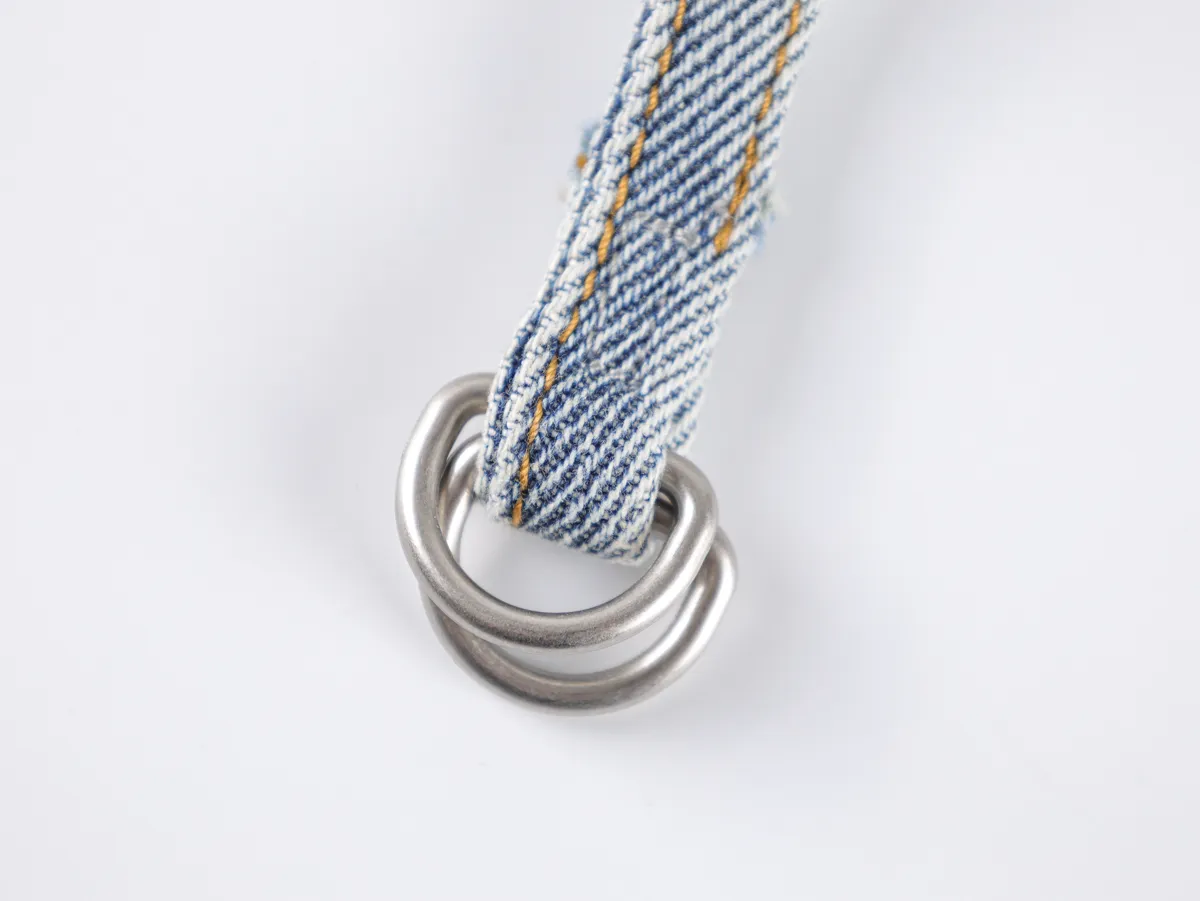 Ring Belt Detail