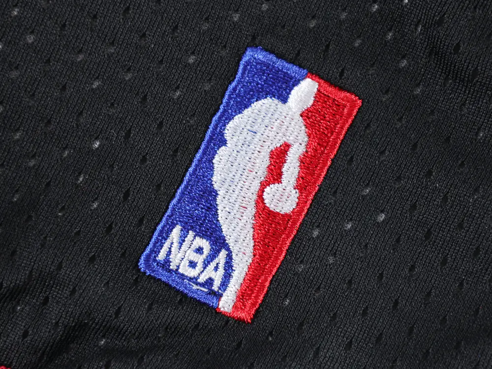the nba logo