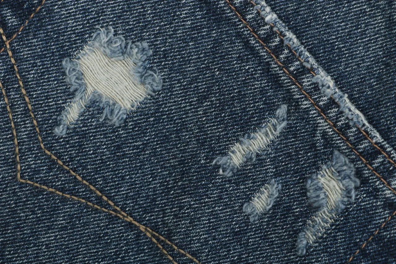 Distressed Details of Shorts
