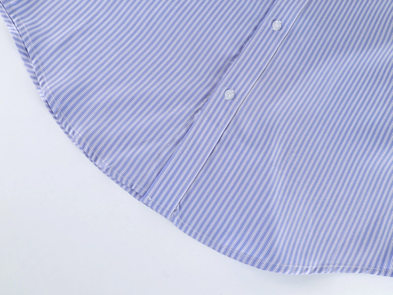 Blue Striped Shirt