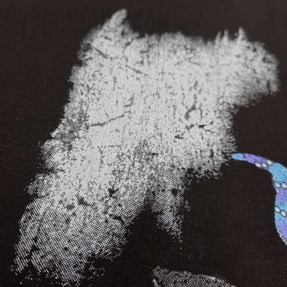 Front-facing graphic print
