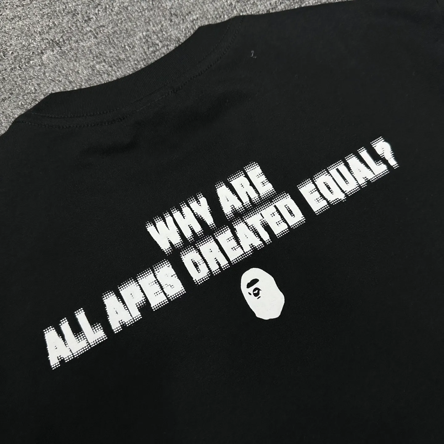 Logo Why Are All Apes Created Equal