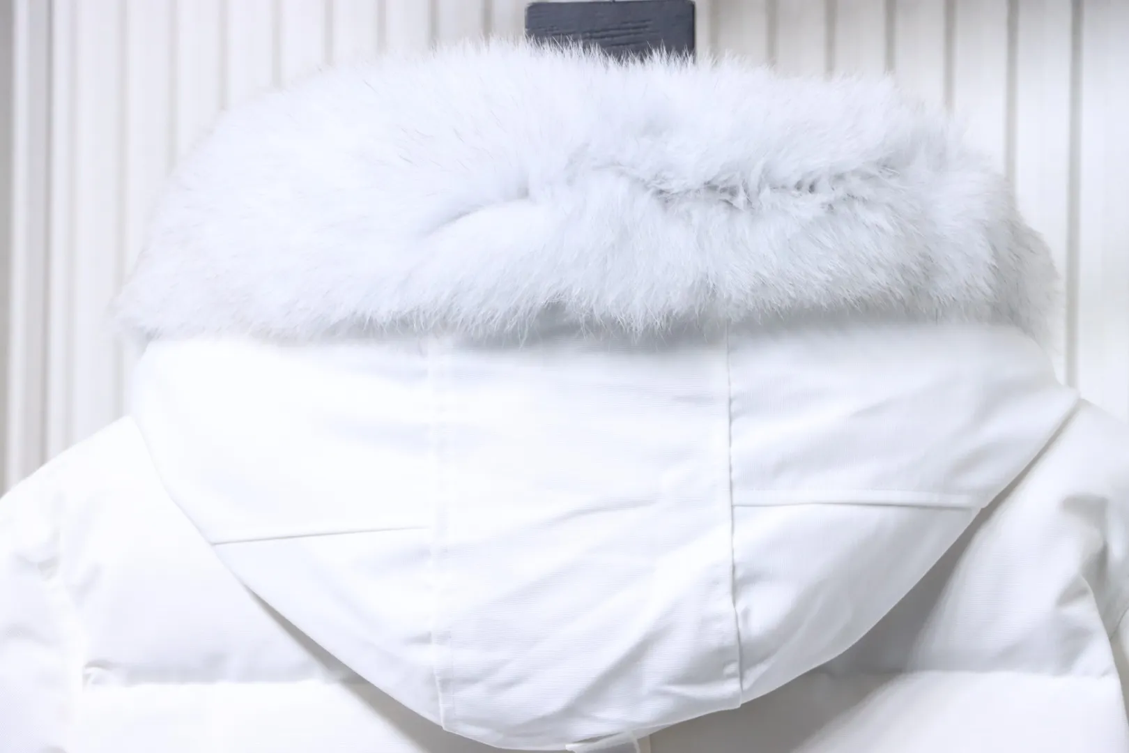Hoodie Detail with Fur