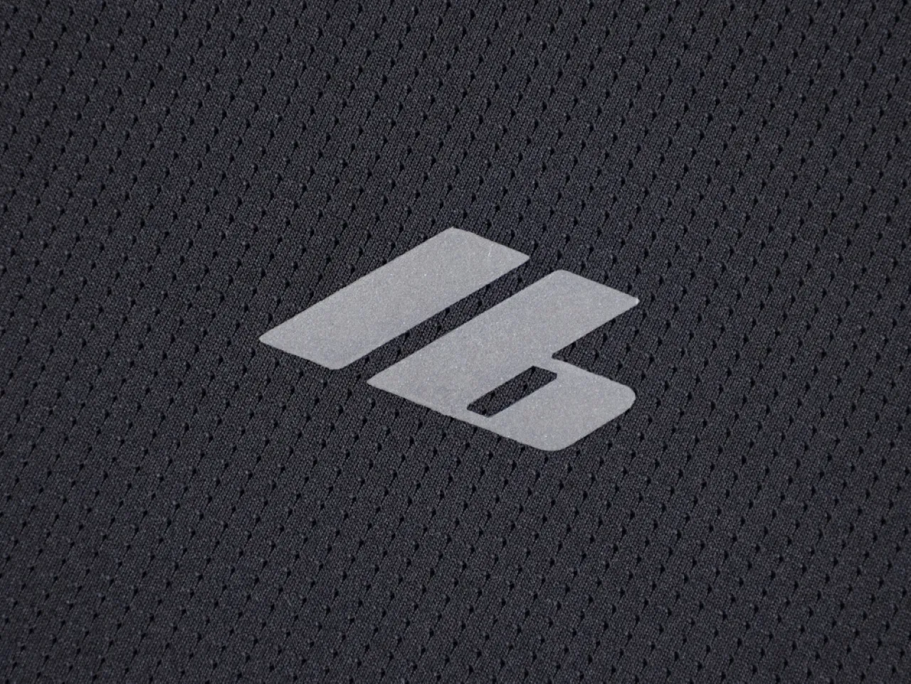 Logo Ib