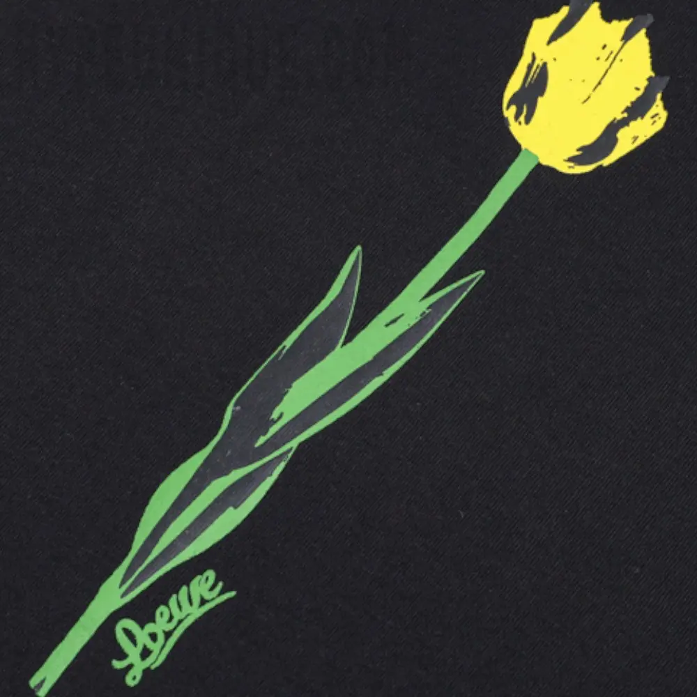 Printed graphic on the front of the garment