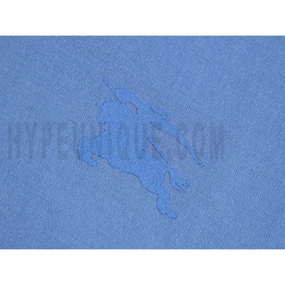 Front graphic print on the garment