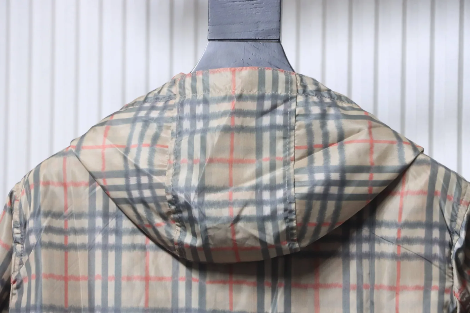 Hoodie Detail