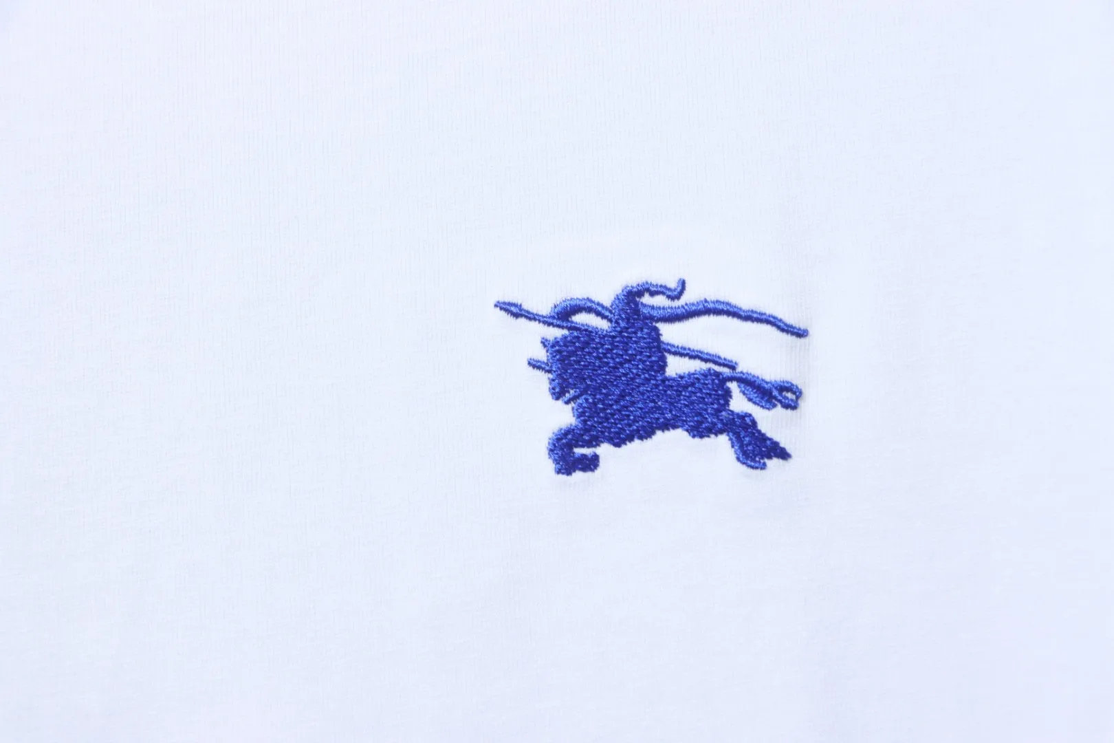 Blue Equestrian Logo
