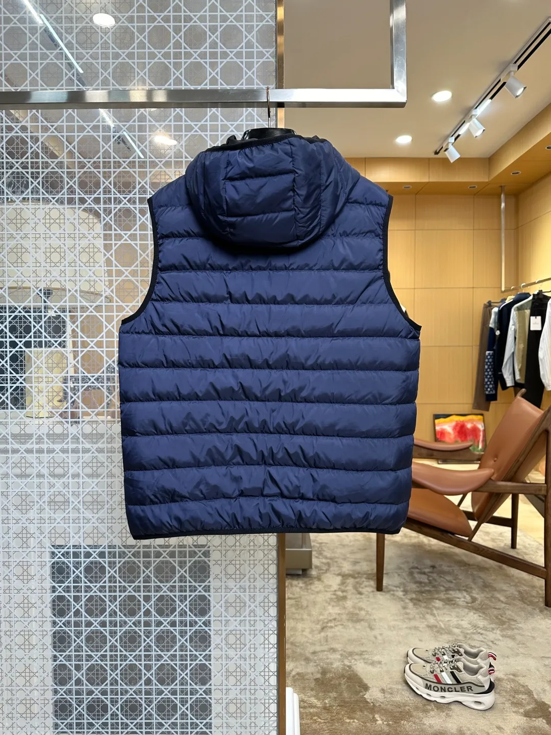 Back View Logo Hooded Goose Down Vest