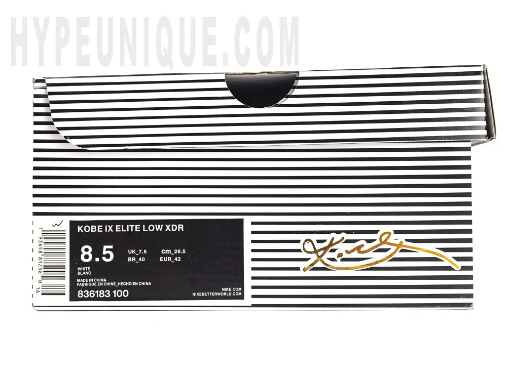 Striped zebra shoe box